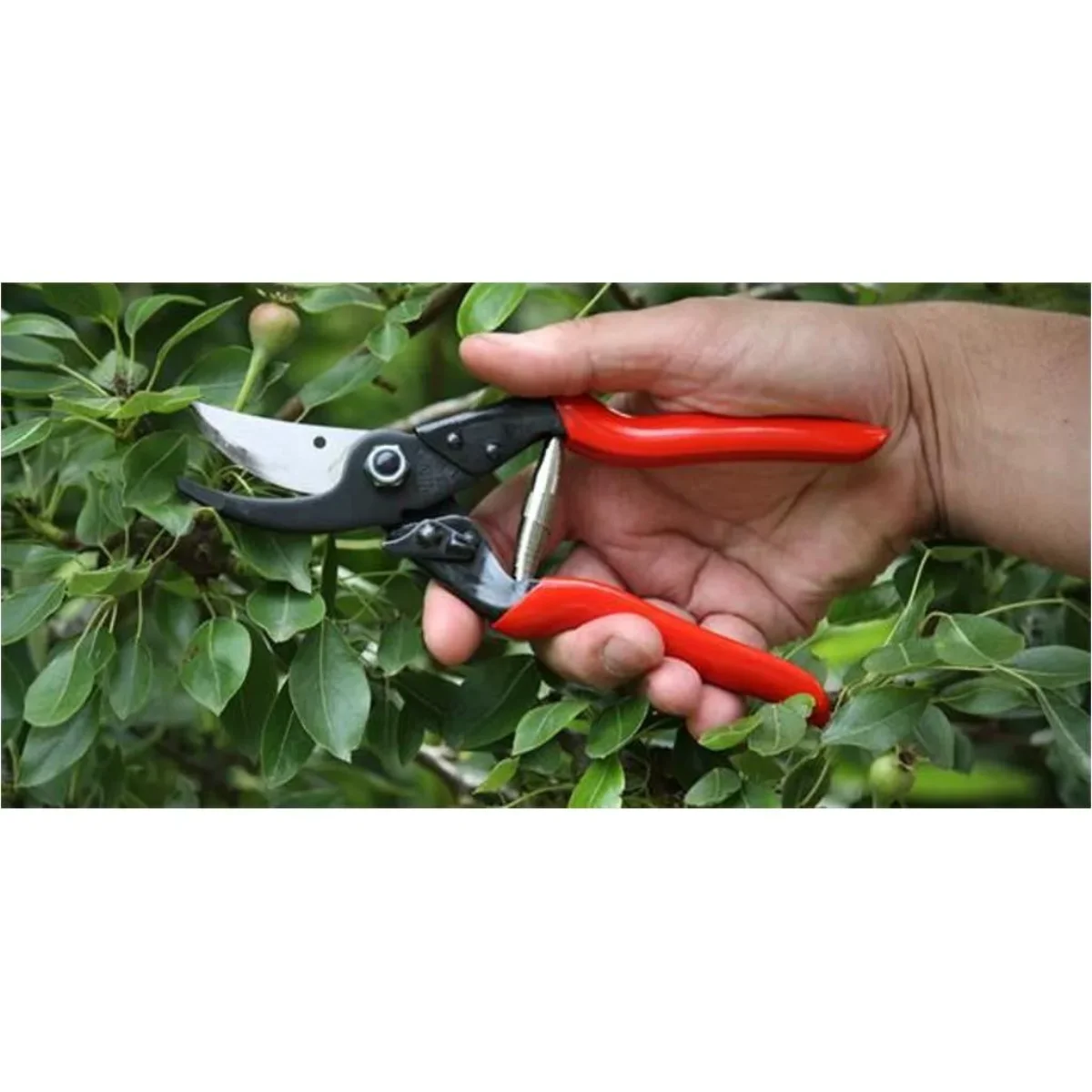 Felco 5 Budama Makası 22.5 mm By-Pass 2