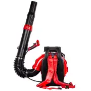 Palmera EB995 EUR5 Sırt Tipi Yaprak Üfleme Makinesi 5.65 Hp 2