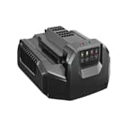 Ego Power CH2100E Standart Şarj Cihazı 210 Watt 1