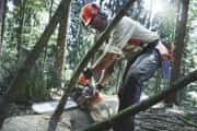 Husqvarna 562 Benzinli Motorlu Testere 3