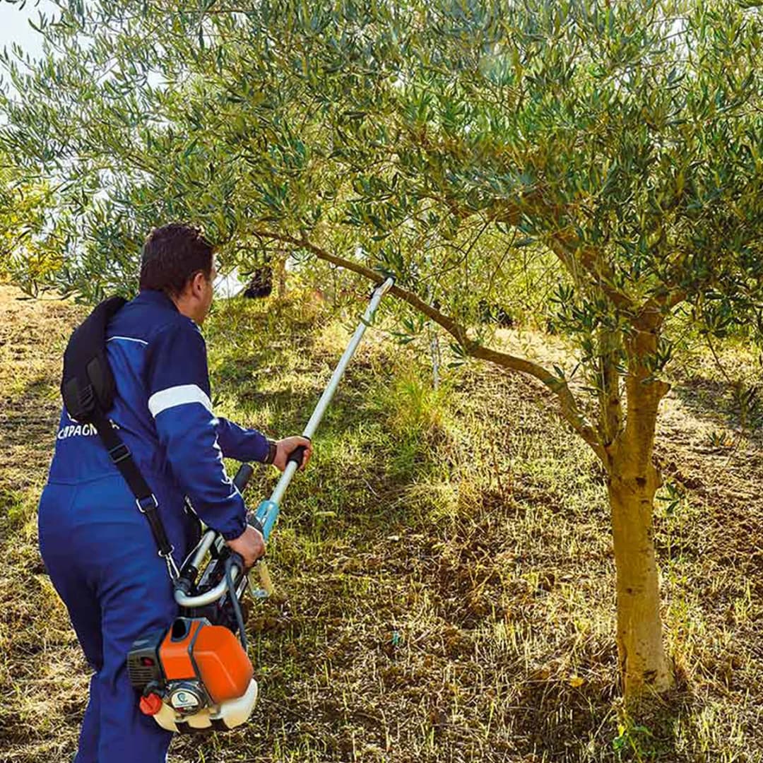 Campagnola El Toro Zeytin ve Meyve Hasat Makinası 2.8 Hp + 3 METRE UZATMA BORUSU İLE BERABER 4