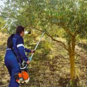 Campagnola El Toro Zeytin ve Meyve Hasat Makinası 2.8 Hp + 3 METRE UZATMA BORUSU İLE BERABER 4