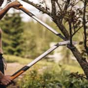 Fiskars 1020188 L LX98 PowerGear X Alüminyum Dal kesme Makası Bypass 80 cm 4