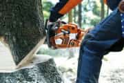 Husqvarna 562 Benzinli Motorlu Testere 2