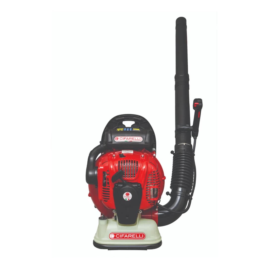 Cifarelli BL1200 Benzinli Üfleme Makinesi 5 Hp 1
