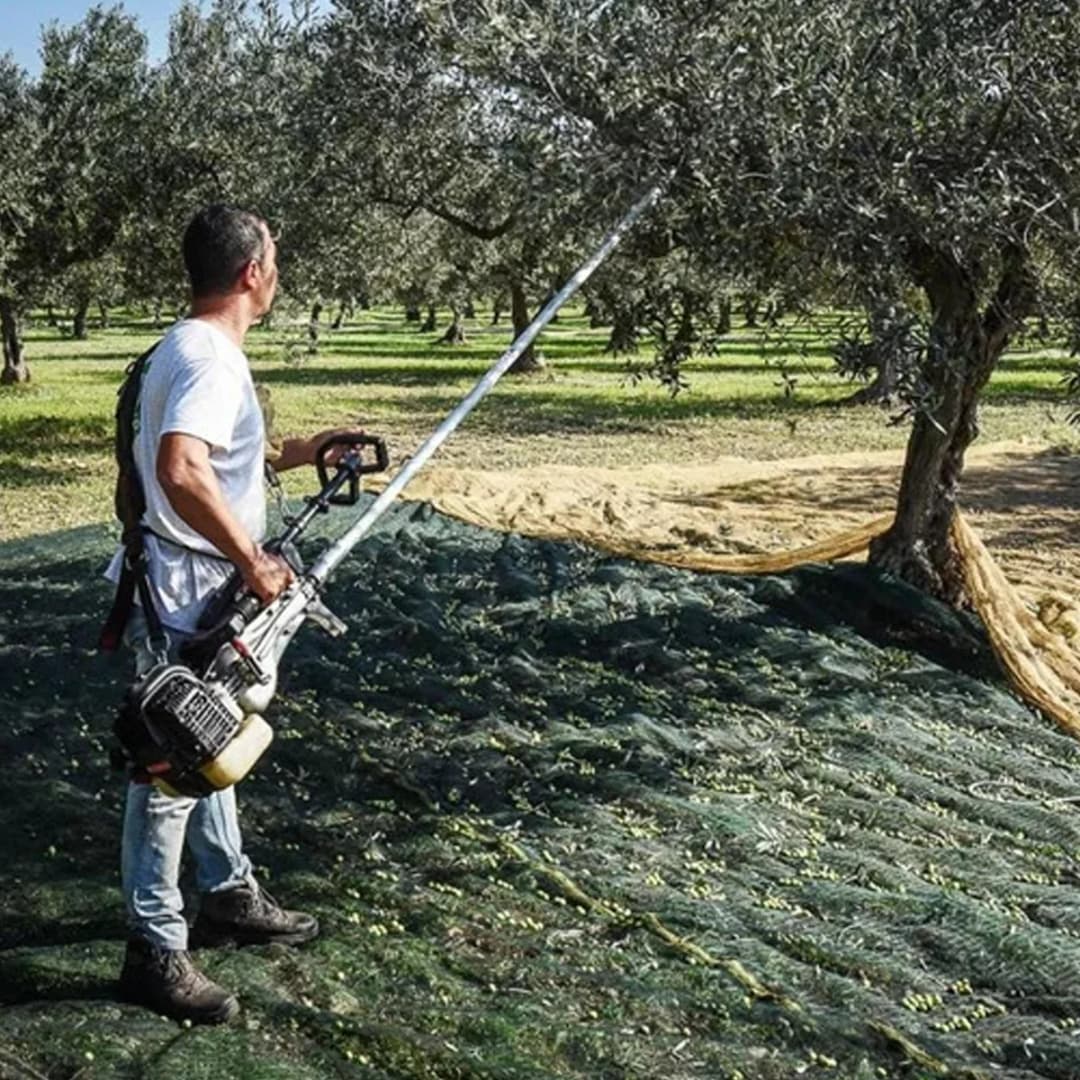 Cifarelli Sc 800 Ağaç Silkme ve Zeytin Hasat Makinesi 6