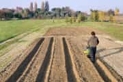 Grillo 11500 Changfa Cf178F Dizel Çapalama Makinesi 6.7 Hp 3