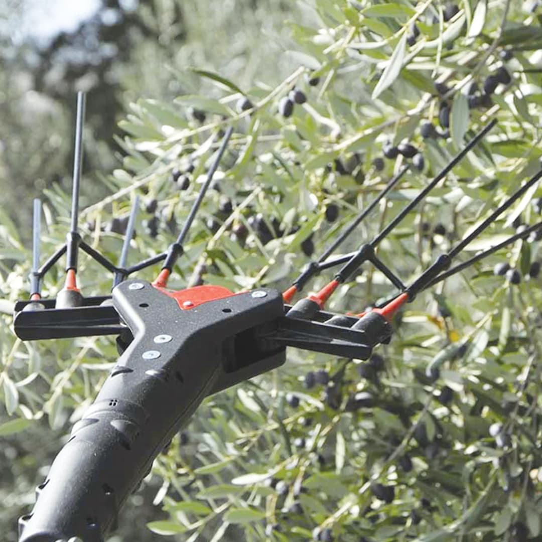 Castellari Vertigo 30V Akülü ve Taraklı Zeytin Hasat Makinası 3