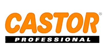Castor logosu