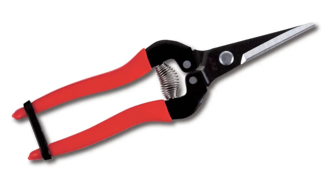 Ars 300 L Düz Ağızlı Meyve Budama Makası 190 mm 1